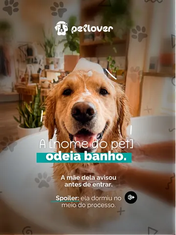 Arte de confiança sobre a experiência de banho do pet