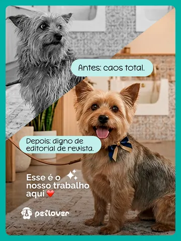 Arte de confiança com transformação antes e depois