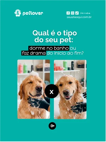 Arte de engajamento sobre o comportamento do pet no banho