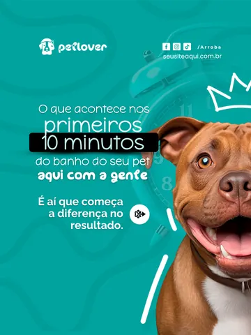 Arte de venda direta sobre o atendimento no banho